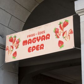 eper molinó
