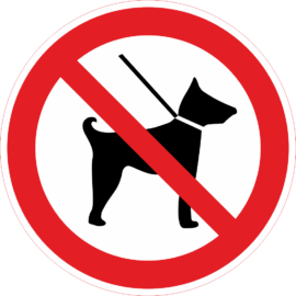 kutyát behozni tilos